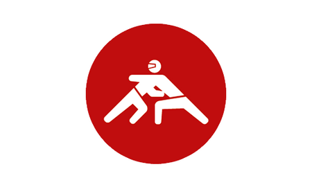 Para Judo