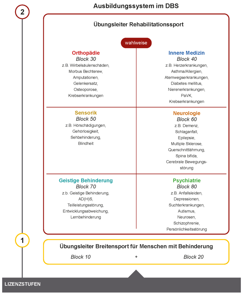 Darstellung der Ausbildungsmodule im Rehabilitationssport